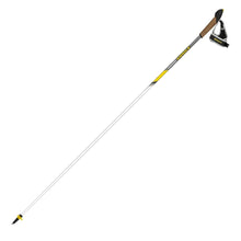 Load image into Gallery viewer, Marathon Fixed-Length Nordic Walking Poles by Vipole